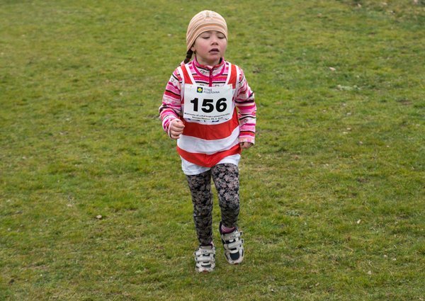 KPJ OPEN Jihočeského a Plzeňského kraje - kros (Střelské Hoštice)