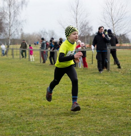 KPJ OPEN Jihočeského a Plzeňského kraje - kros (Střelské Hoštice)