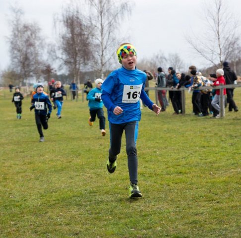 KPJ OPEN Jihočeského a Plzeňského kraje - kros (Střelské Hoštice)