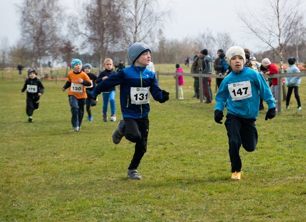 KPJ OPEN Jihočeského a Plzeňského kraje - kros (Střelské Hoštice)