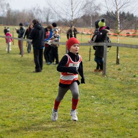 KPJ OPEN Jihočeského a Plzeňského kraje - kros (Střelské Hoštice)