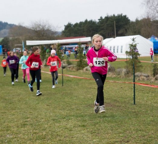KPJ OPEN Jihočeského a Plzeňského kraje - kros (Střelské Hoštice)