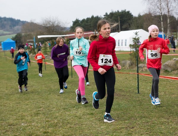 KPJ OPEN Jihočeského a Plzeňského kraje - kros (Střelské Hoštice)