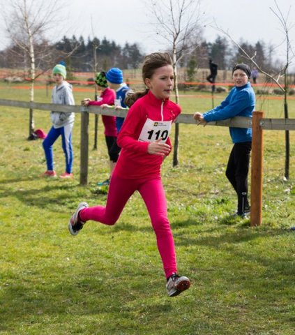 KPJ OPEN Jihočeského a Plzeňského kraje - kros (Střelské Hoštice)
