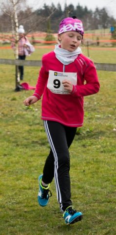 KPJ OPEN Jihočeského a Plzeňského kraje - kros (Střelské Hoštice)