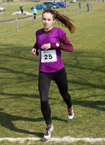 KPJ OPEN Jihočeského a Plzeňského kraje - kros (Střelské Hoštice)